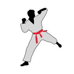 Judo Karate - Your spirit, your ultimate shield sticker