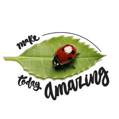 Marvelous Moments - Ladybug Delight Stickers