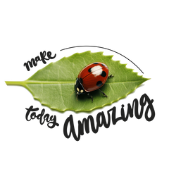 Marvelous Moments - Ladybug Delight Stickers