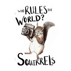 Playful Squirrel - Who Rules the World? Squirrels! Sticker