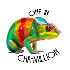 Colorful Rarity - Chameleon Stickers