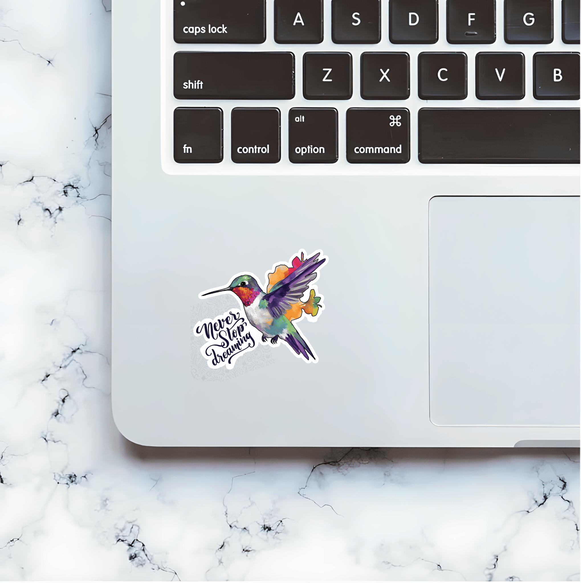 Whimsical Hummingbird - Never Stop Dreaming Sticker