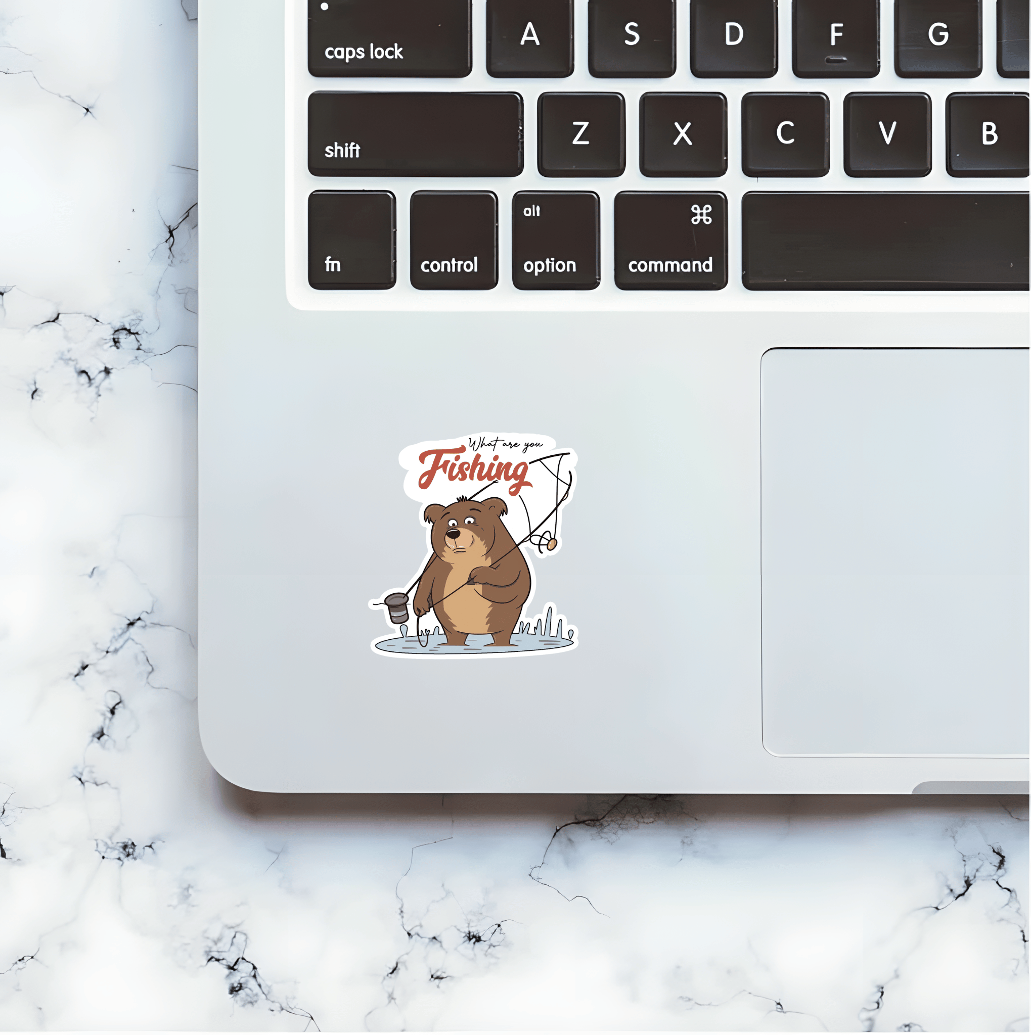 Curious Catch - Baffled Bear Stickers